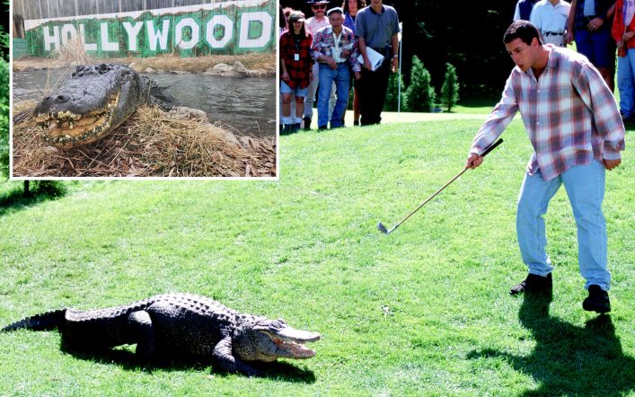 Alligator from ‘Happy Gilmore’ dies of ‘old age’ — but will continue to scare children for ‘years to come’