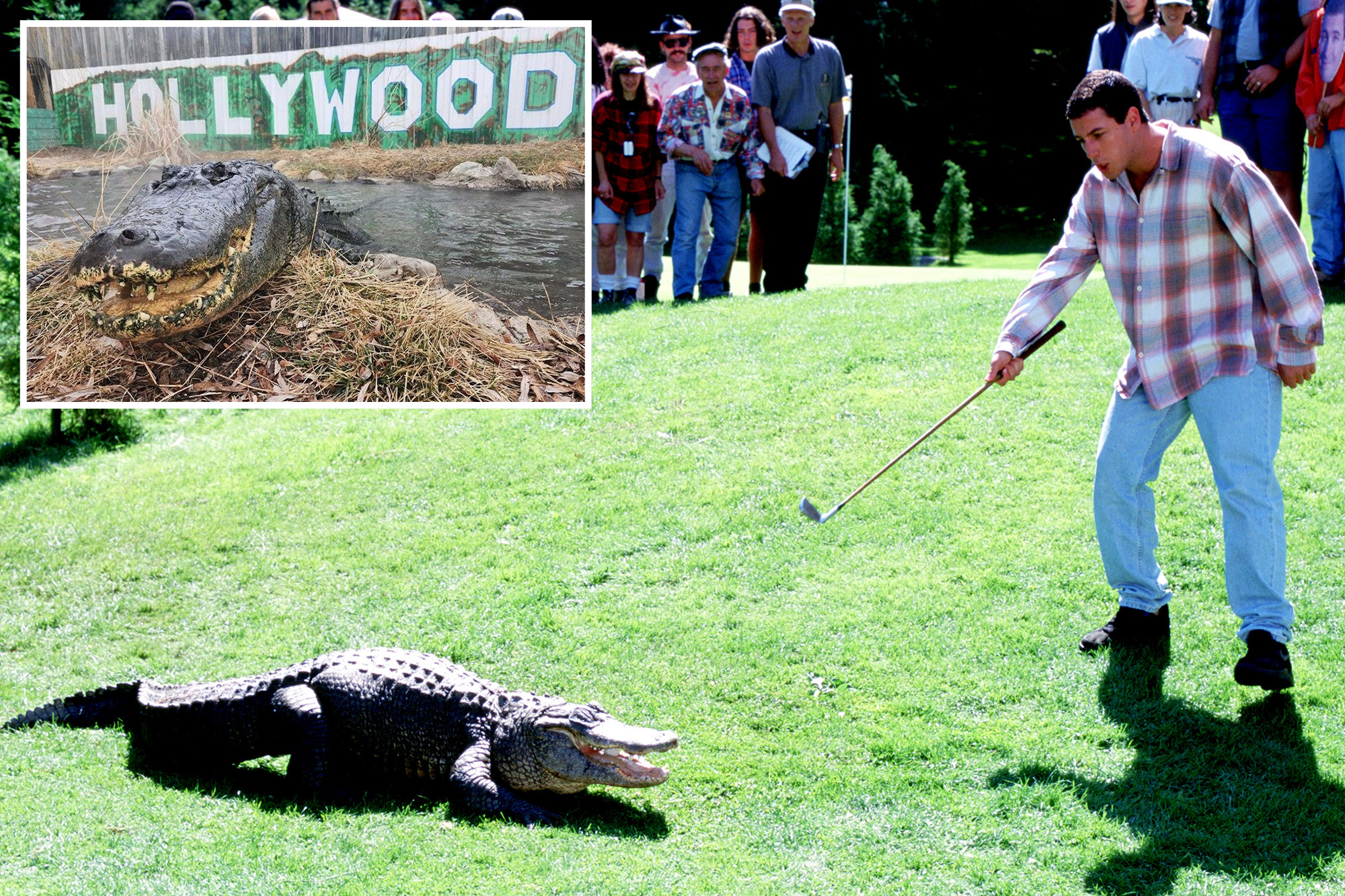 Alligator from ‘Happy Gilmore’ dies of ‘old age’ — but will continue to scare children for ‘years to come’