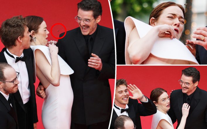 Emma Stone gets attacked by bee at Cannes with Pedro Pascal, Austin Butler — watch them freak out