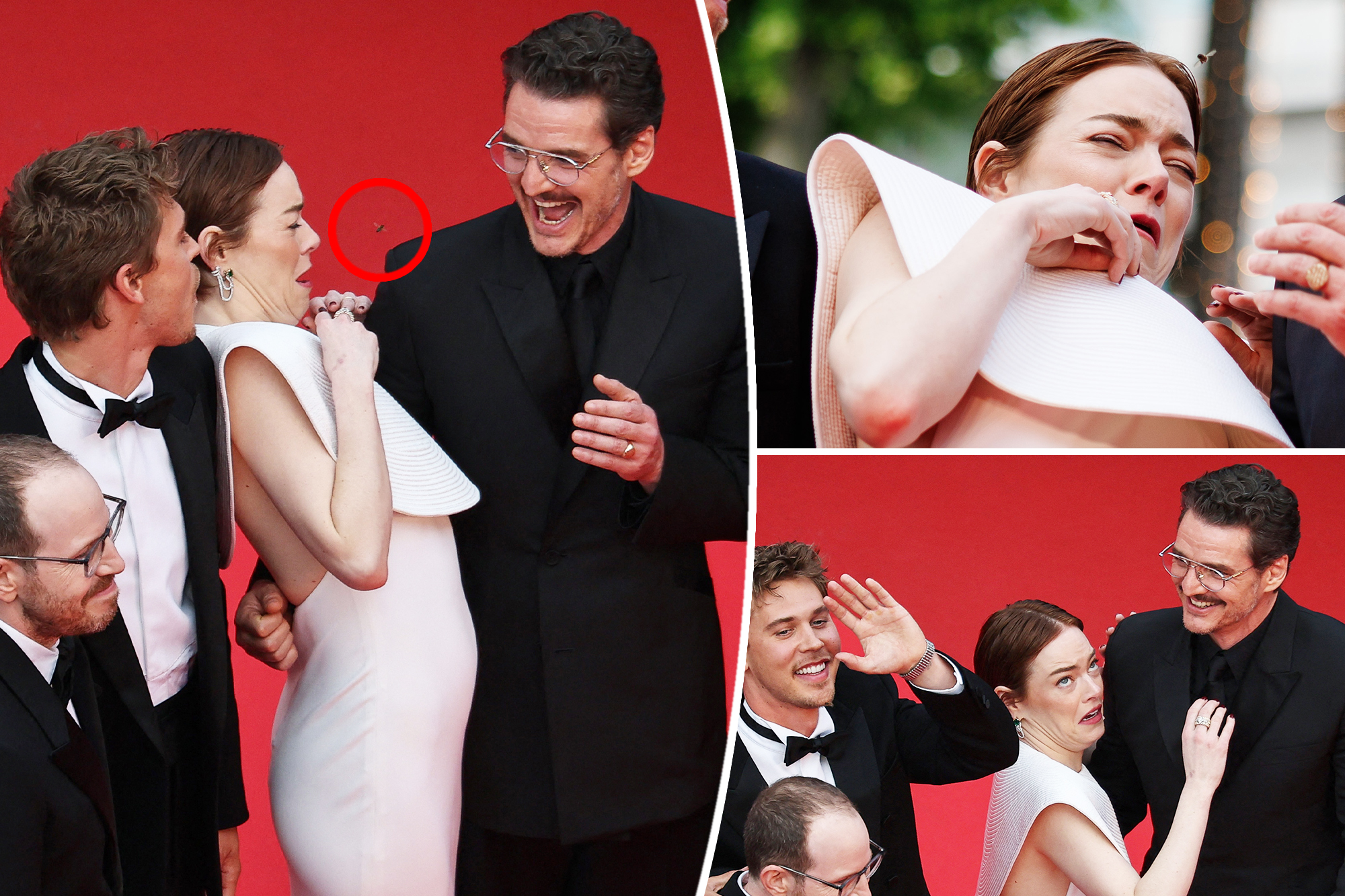 Emma Stone gets attacked by bee at Cannes with Pedro Pascal, Austin Butler — watch them freak out