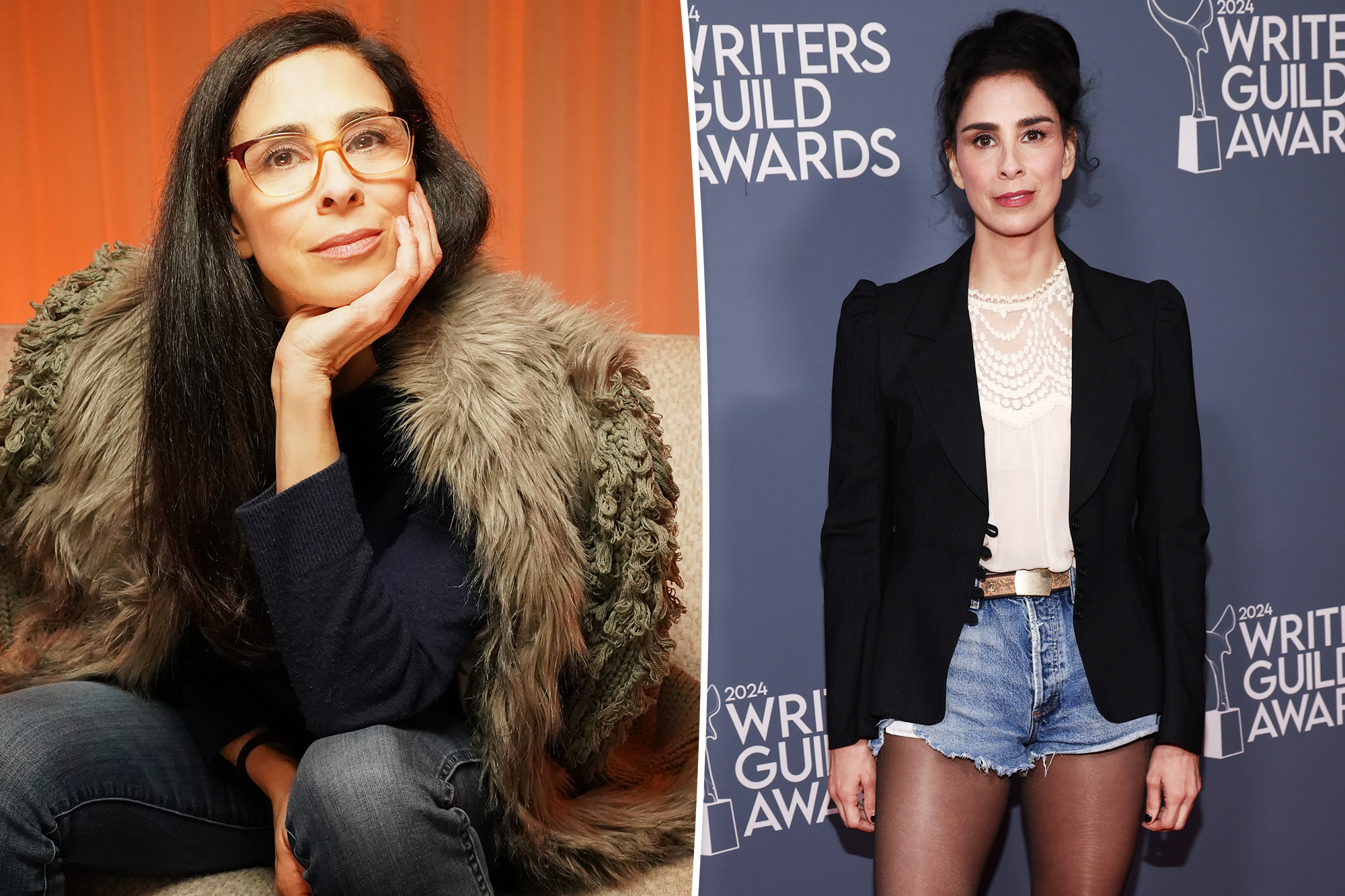Sarah Silverman exposes relative accused of killing her 3-month-old brother