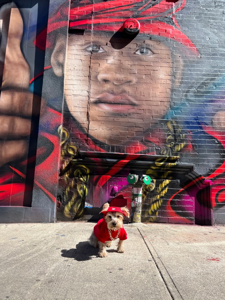 NYC dogs set to match the glitz and glamour of the Met Gala at their very own Pet Gala