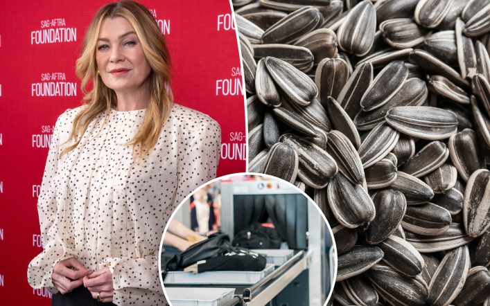 Ellen Pompeo was stopped at TSA for fancy sunflower seeds — here are the rules for food in carry-on luggage