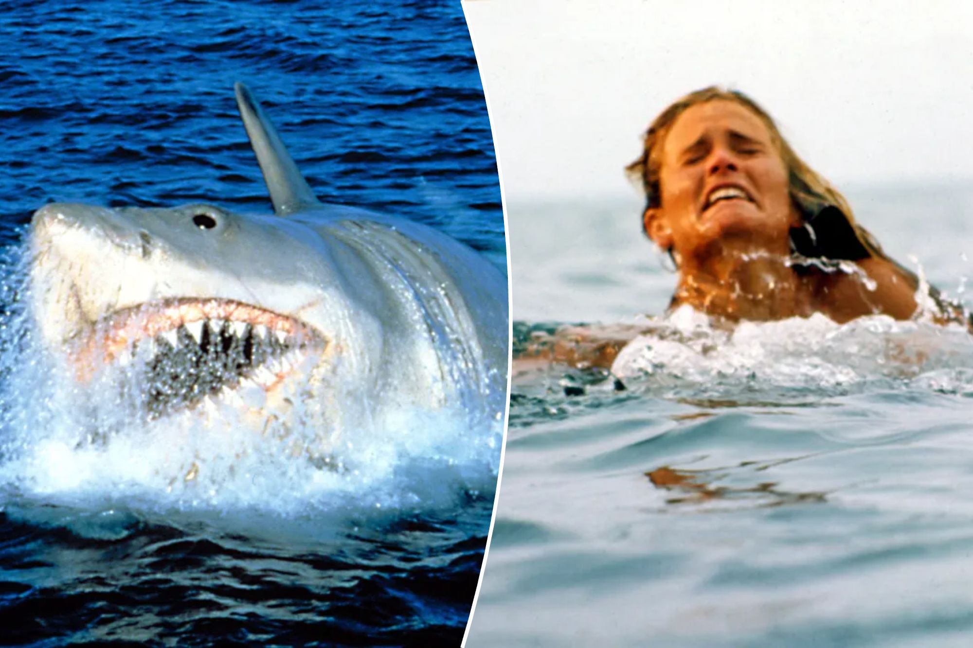 ‘Jaws’ did what no movie could do today — it made the entire world terrified of the water