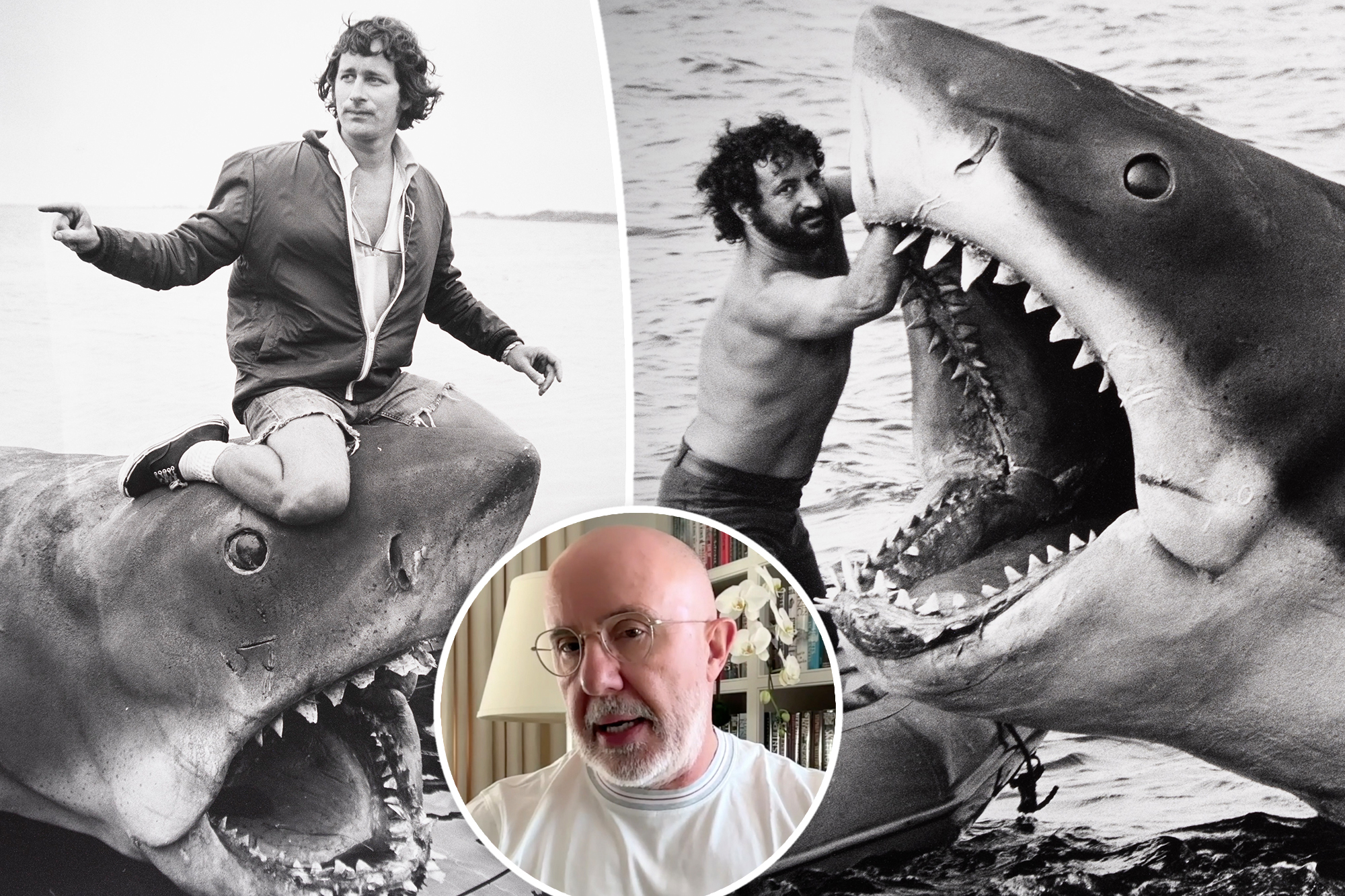 ‘Jaws’ doc director proclaims he never wants to see another sequel