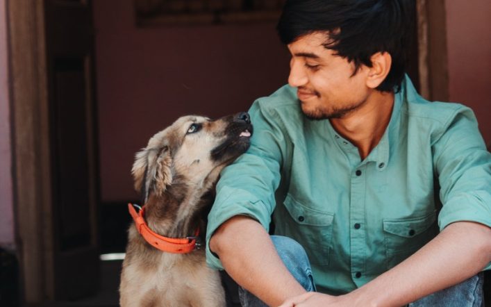 Shocking number of pet owners would date AI versions of their animals, study reveals