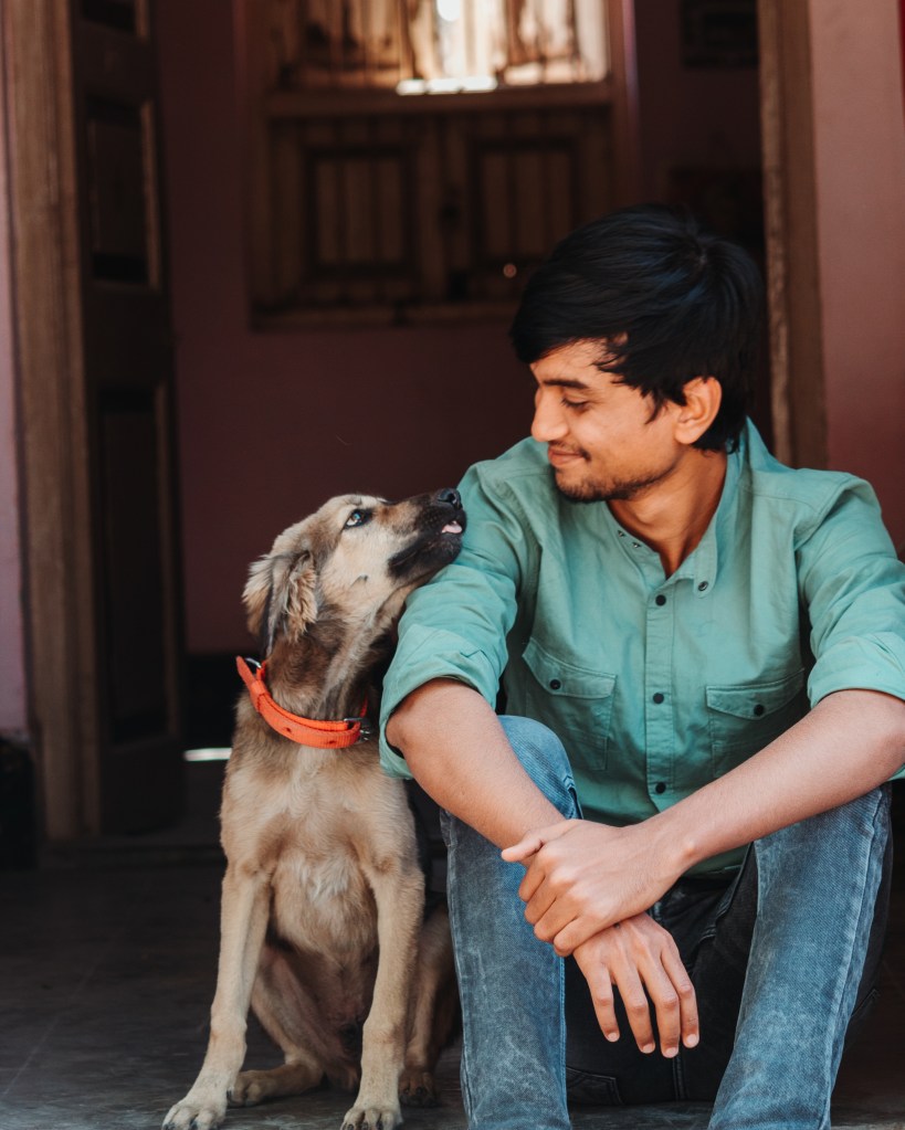 Shocking number of pet owners would date AI versions of their animals, study reveals
