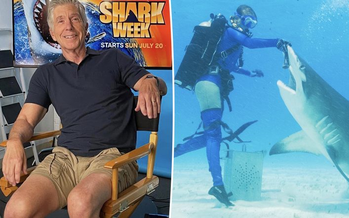 Tom Bergeron teases a possible ‘DWTS’ return as he prepares for his wild new shark show