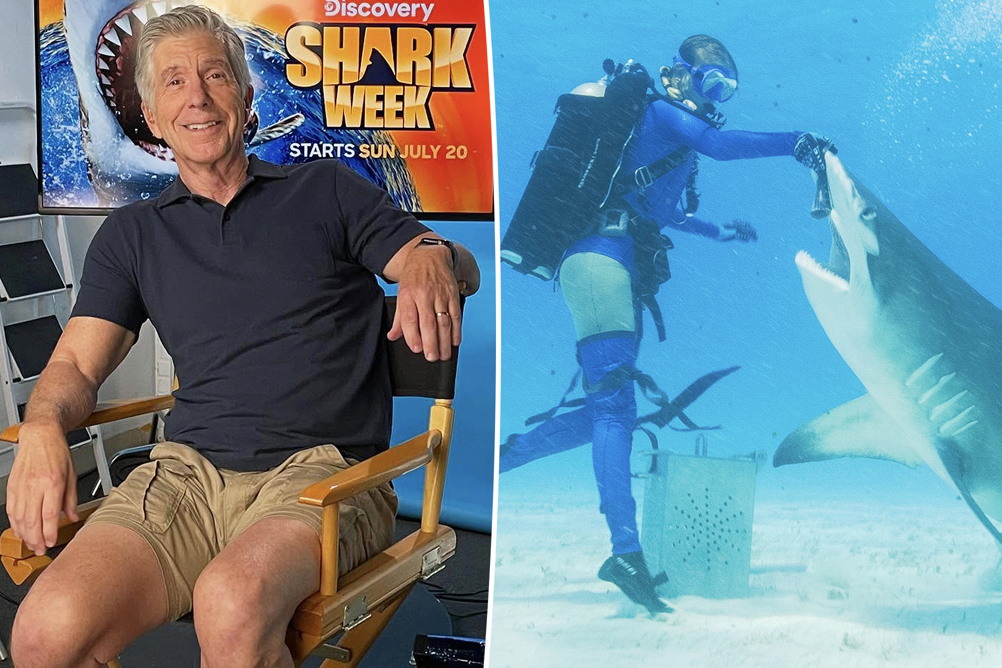 Tom Bergeron teases a possible ‘DWTS’ return as he prepares for his wild new shark show