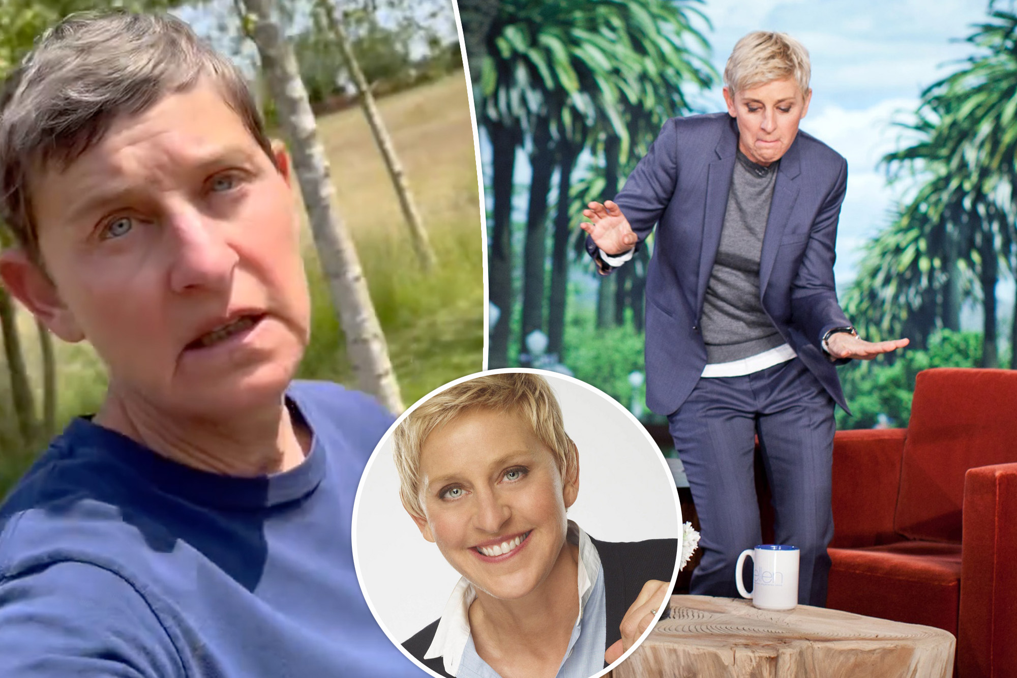 Ellen DeGeneres ‘would love’ to host another talk show years after toxic workplace allegations