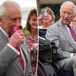 Cancer-stricken King Charles gives rare health update after hospitalization: ‘One of those things’