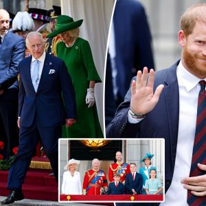 Prince Harry offers to share his personal diary with the royals in attempt to ‘deconflict’: report