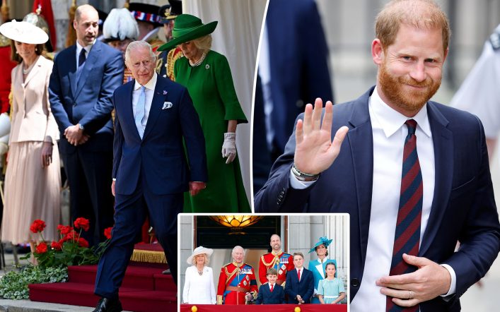 Prince Harry offers to share his personal diary with the royals in attempt to ‘deconflict’: report