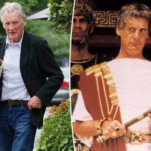 ‘Monty Python’ star Michael Palin, 82, details his will plans after losing wife: ‘I do think about death’