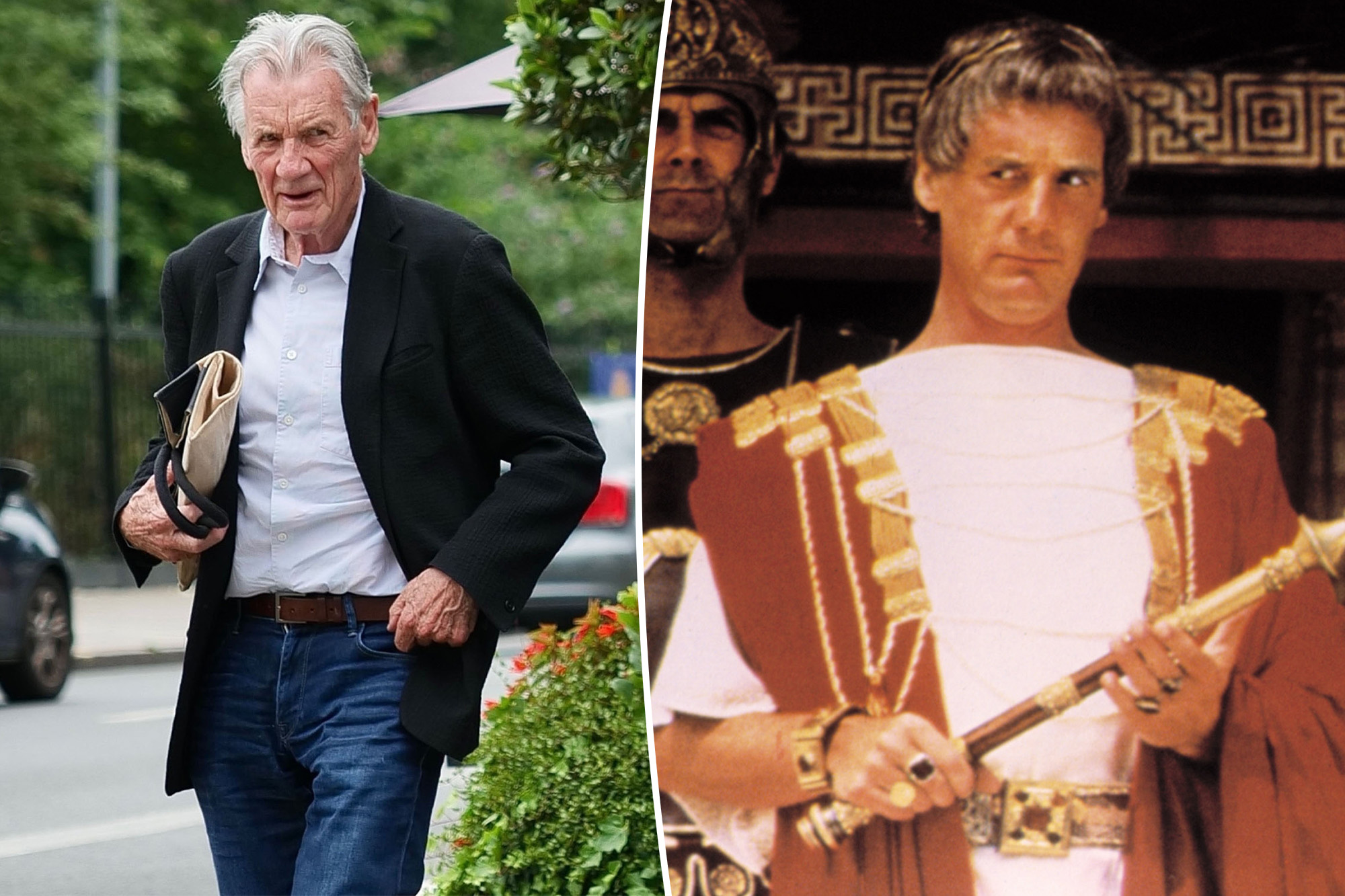 ‘Monty Python’ star Michael Palin, 82, details his will plans after losing wife: ‘I do think about death’