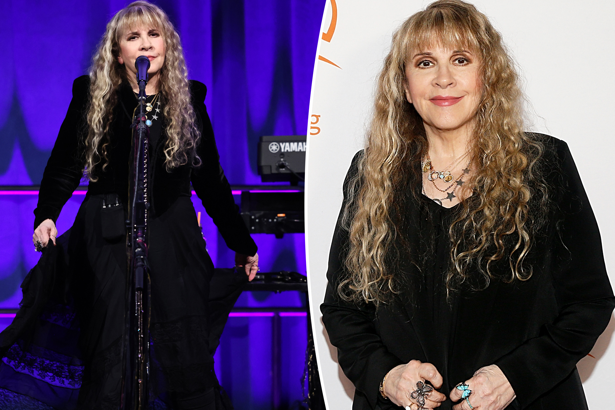 Stevie Nicks postpones tour dates after fracturing her shoulder